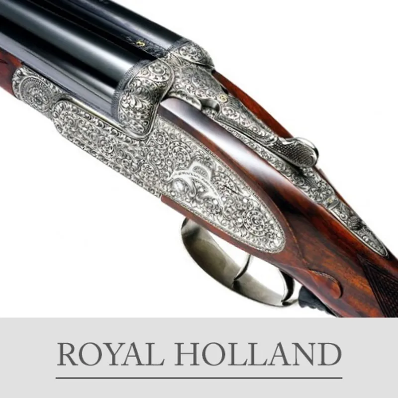 Grulla Royal 26059