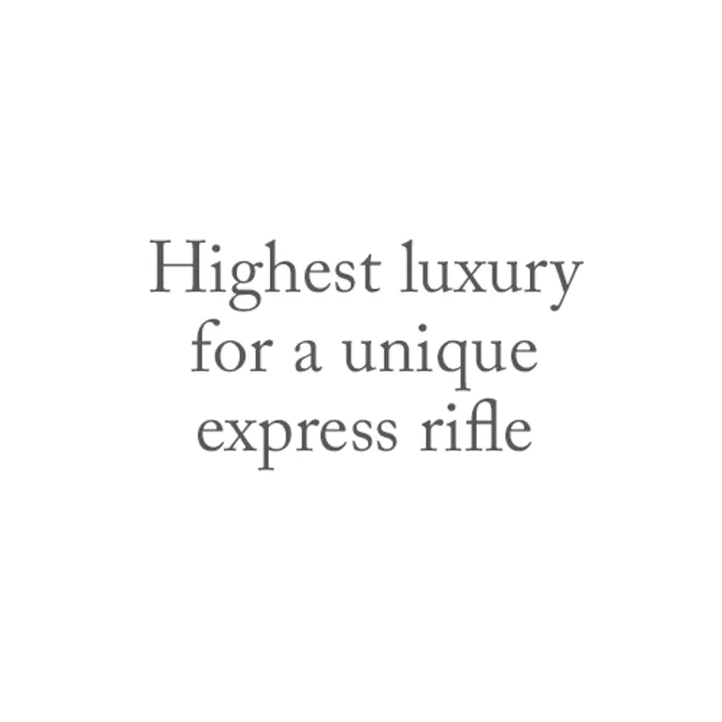 Double Rifle 26075
