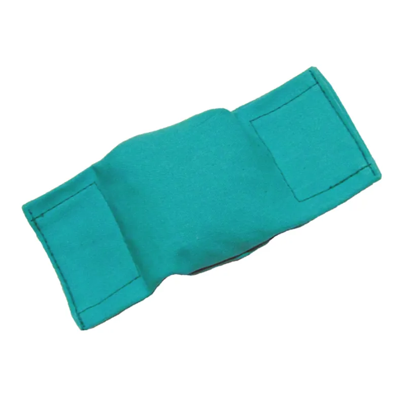 Bisley Beanbag Puppy Dummy in Green