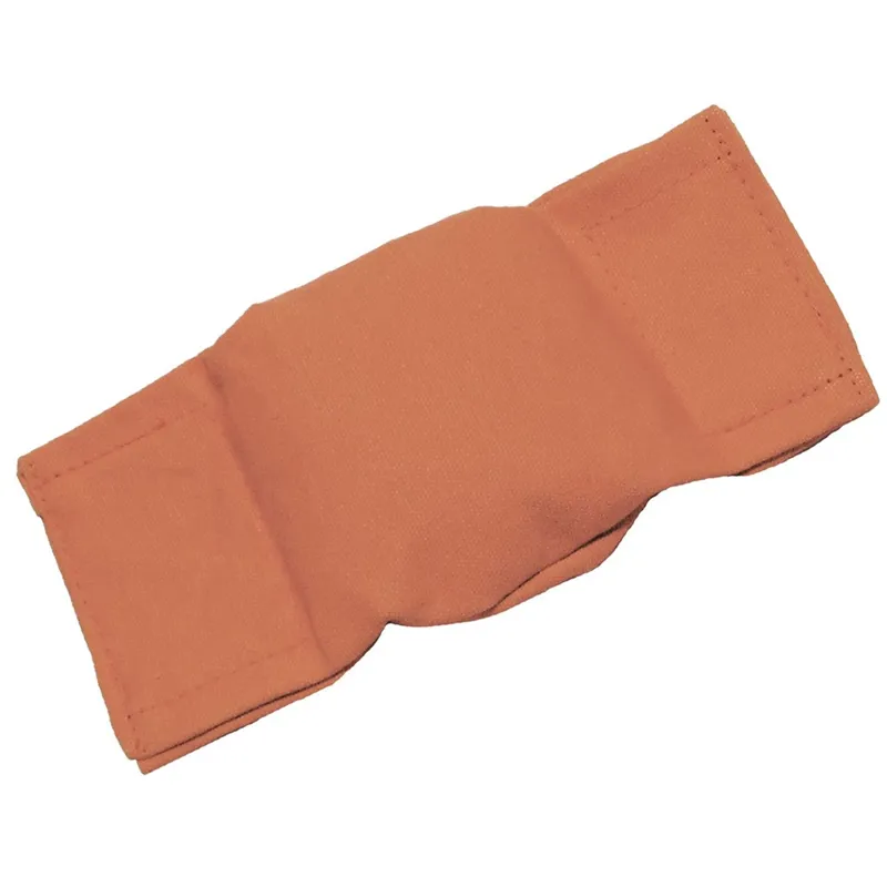 Bisley Beanbag Puppy Dummy in Orange
