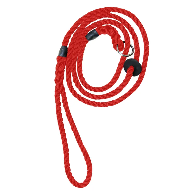 Bisley Deluxe Slip Dog Lead in Red