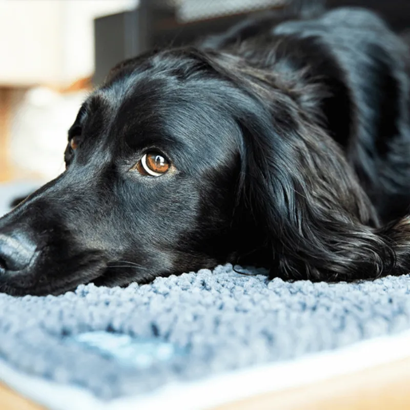 Henry Wag Large Microfibre Noodle Pet Mat in Grey-2